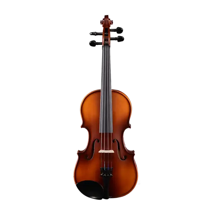 LV05 wholesale student violin outfit front view with ebony fingerboard and fittings for bulk B2B orders