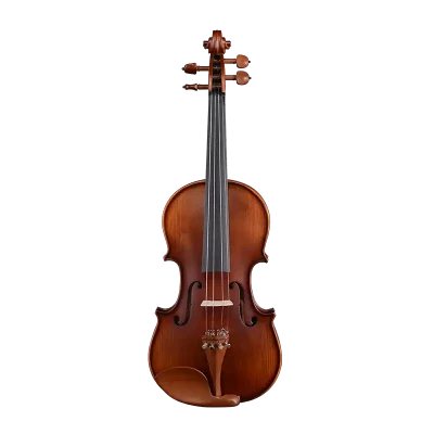 LV06 wholesale student violin outfit front view with ebony fingerboard and jujube fittings for bulk B2B orders