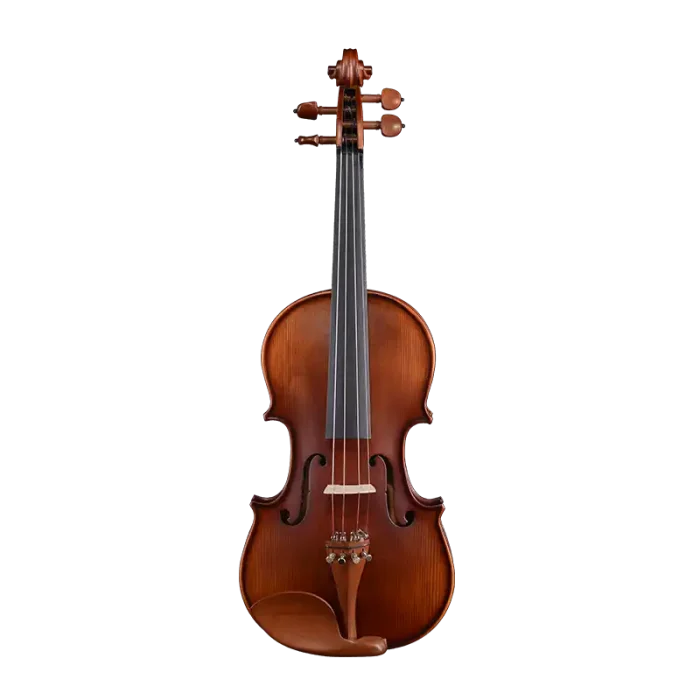 LV06 wholesale student violin outfit front view with ebony fingerboard and jujube fittings for bulk B2B orders