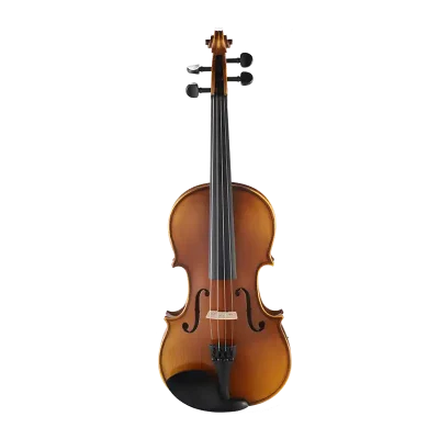 LV08 wholesale student violin outfit front view with simulated flame finish for bulk B2B orders