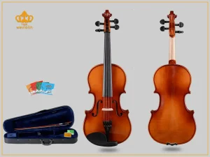 Beginner Violins wholesale category image