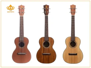 Imagem da categoria “Ukuleles no atacado”